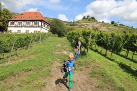 Pension-am-Klosterteichplatz_Sächsischer_Weinwanderweg